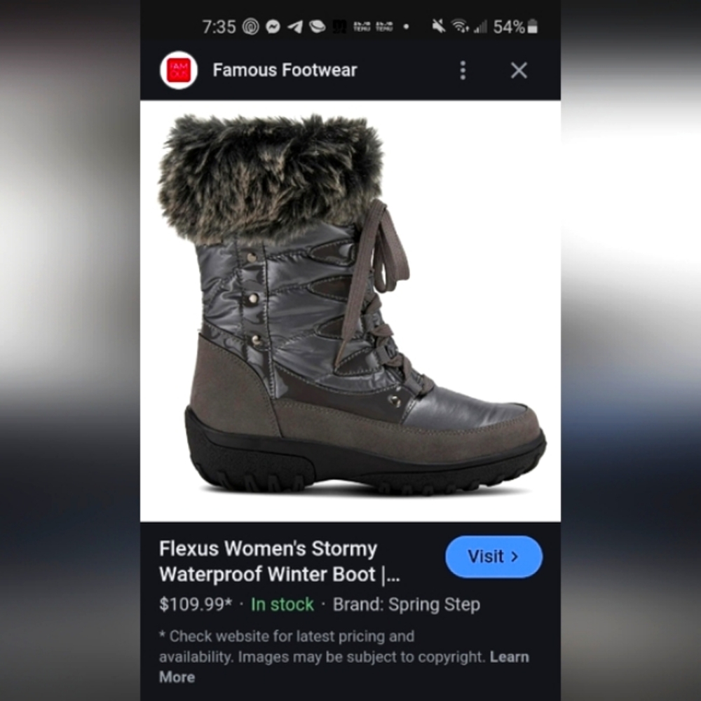 BNWOT Flexus Stormy Waterproof Winter Boots Grey Women's Sz.11 US (EU 42)A STEAL